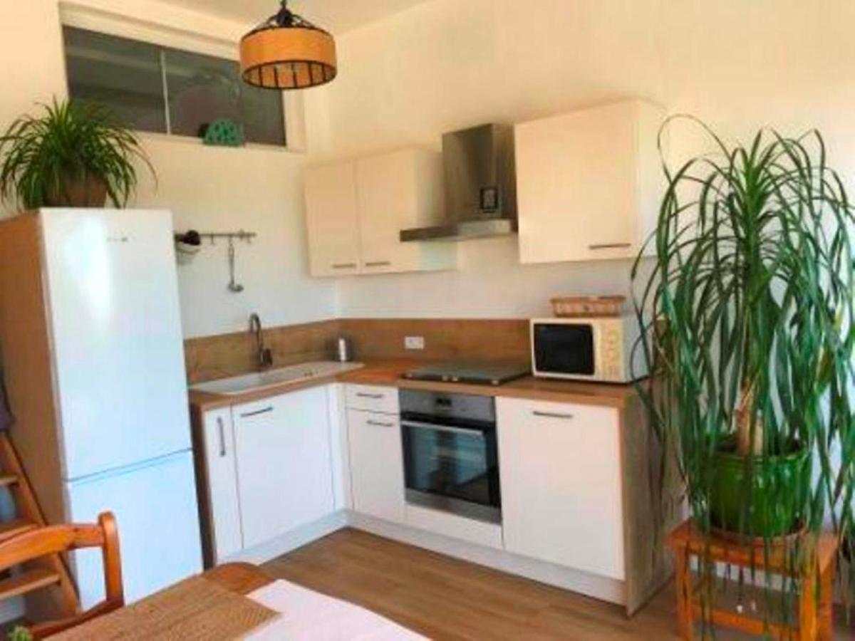 Villa Les Alizes Le Le Rayol-Canadel-sur-Mer Ngoại thất bức ảnh