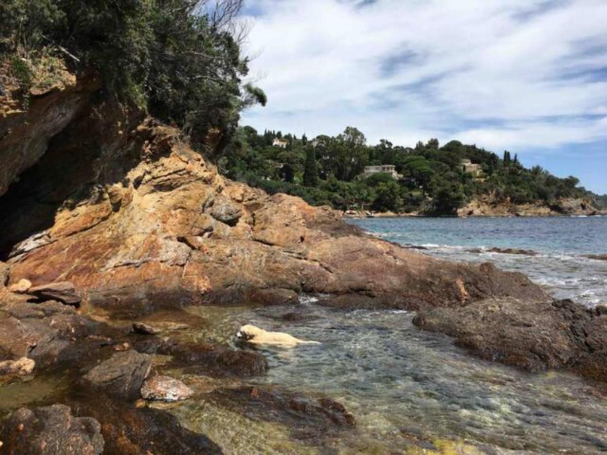 Villa Les Alizes Le Le Rayol-Canadel-sur-Mer Ngoại thất bức ảnh