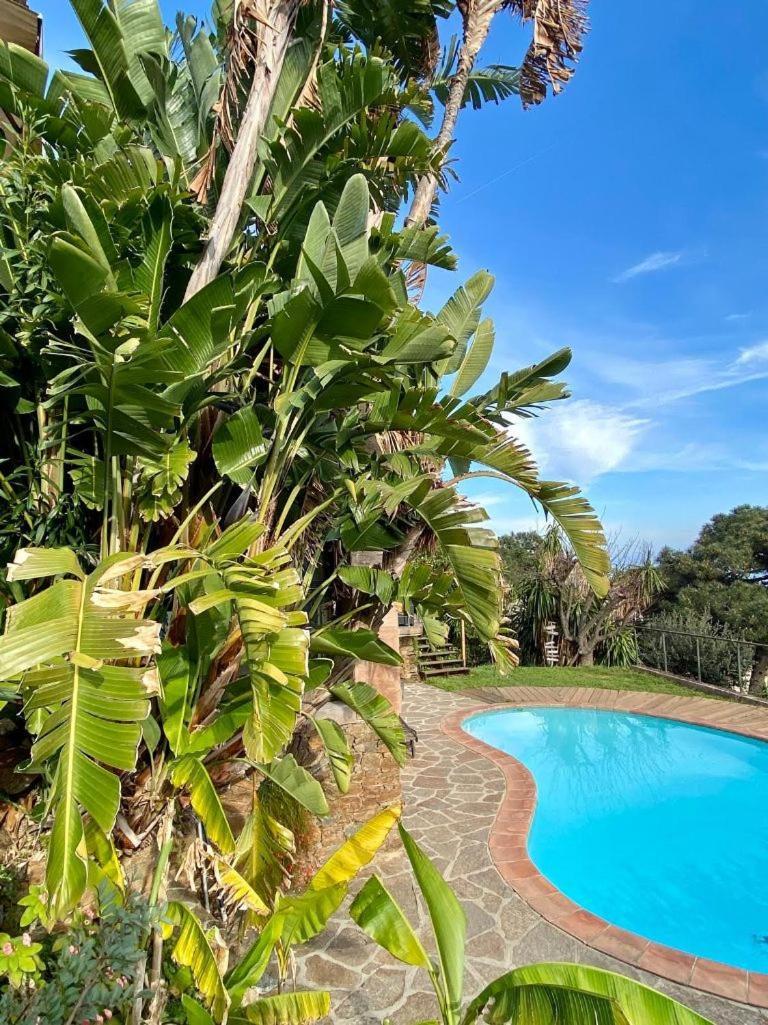 Villa Les Alizes Le Le Rayol-Canadel-sur-Mer Ngoại thất bức ảnh