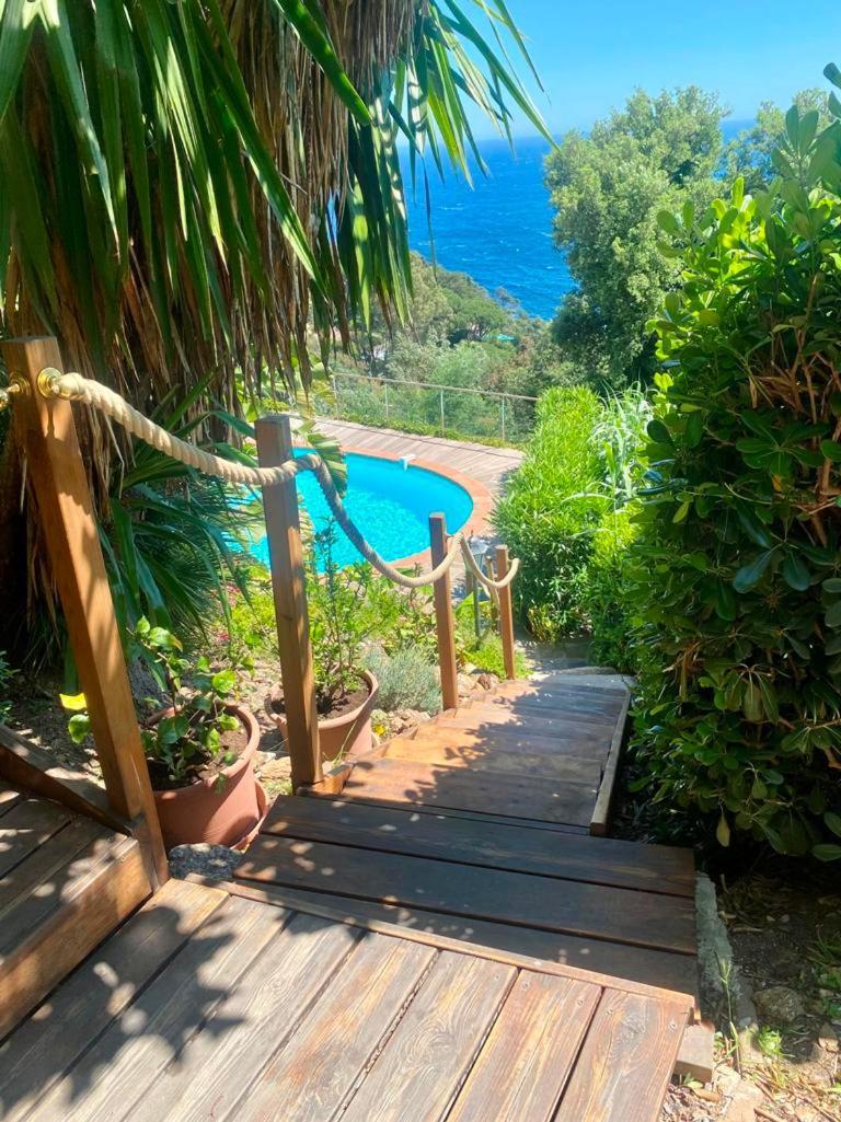 Villa Les Alizes Le Le Rayol-Canadel-sur-Mer Ngoại thất bức ảnh