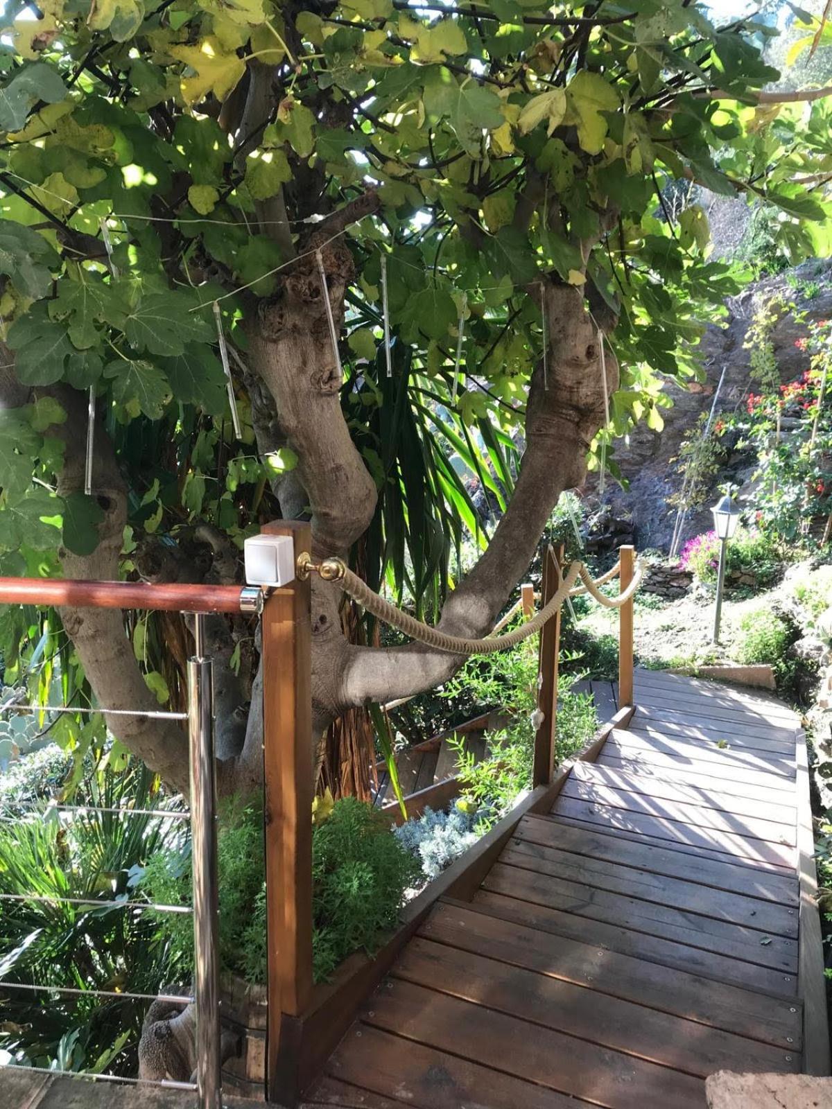 Villa Les Alizes Le Le Rayol-Canadel-sur-Mer Ngoại thất bức ảnh